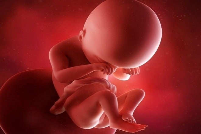 Hình ảnh thai 19 tuần trong bụng mẹ